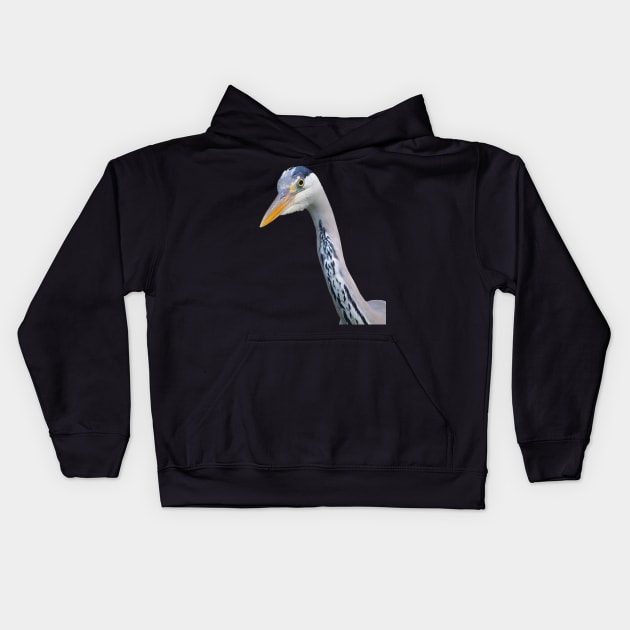 Grey Heron What Are You Looking At? Kids Hoodie by DesignMore21